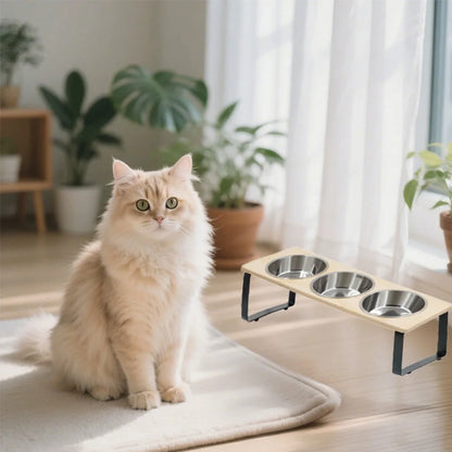 Elevated Cat Bowl Set with 3 Stainless Steel Bowls (15° Tilt)