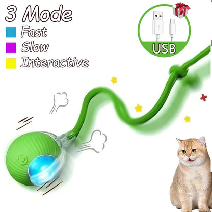 Smart Interactive Cat Rolling Ball Toy (2-Pack)
