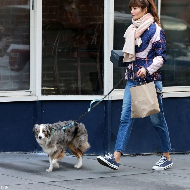 Reflective Elastic Running Dog Leash