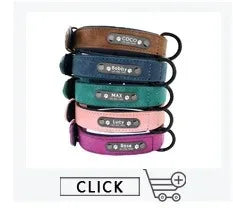 Personalized Leather Dog Collar with Name ID