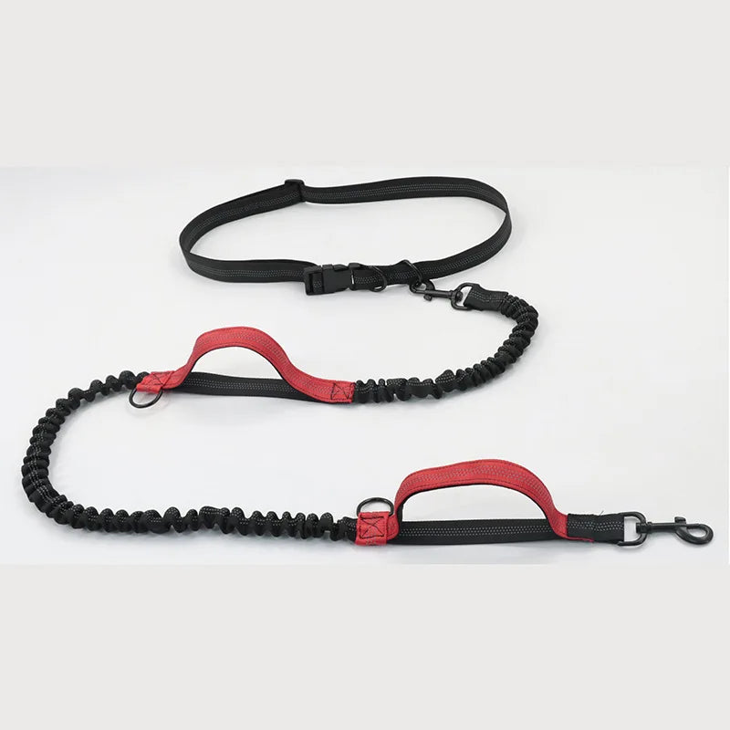 Reflective Elastic Running Dog Leash