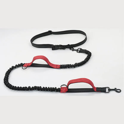 Reflective Elastic Running Dog Leash