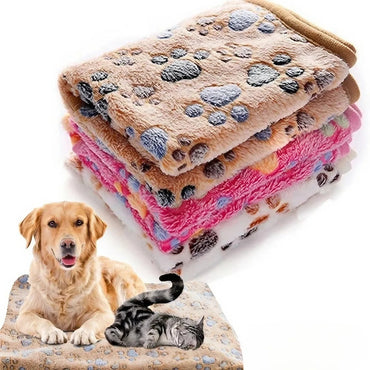 Soft Fluffy Cartoon Pet Blanket