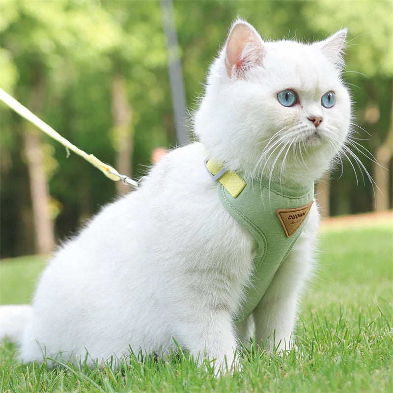 Breathable Cat & Puppy Harness and Leash Set