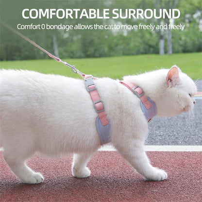 Breathable Cat & Puppy Harness and Leash Set