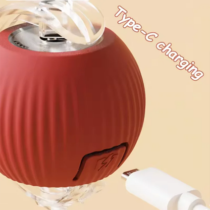 Automatic Interactive Cat Teaser Toy Set