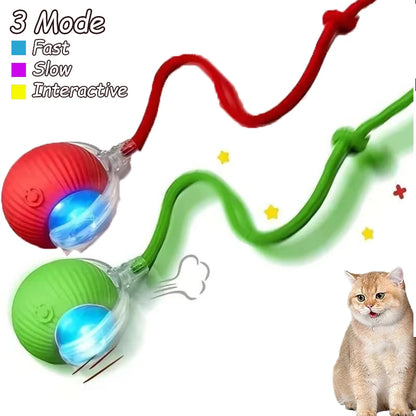 Smart Interactive Cat Rolling Ball Toy (2-Pack)