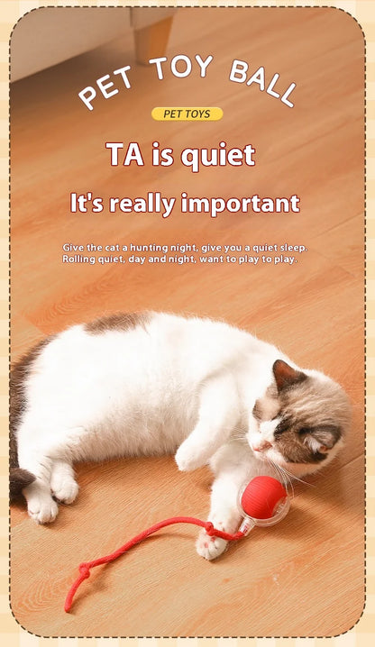Smart Interactive Cat Rolling Ball Toy (2-Pack)