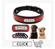 Personalized Leather Dog Collar with Name ID