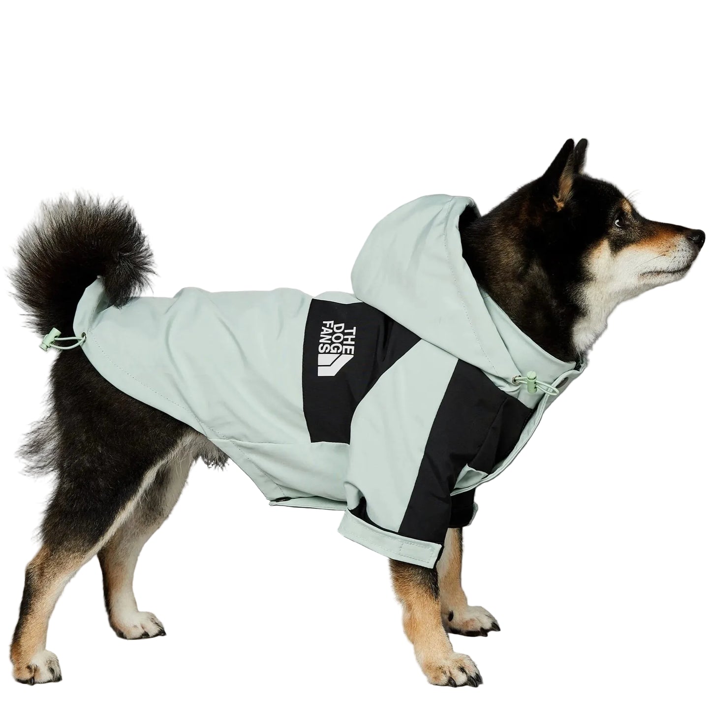 Luxury Waterproof Dog Raincoat Jacket (Mint)