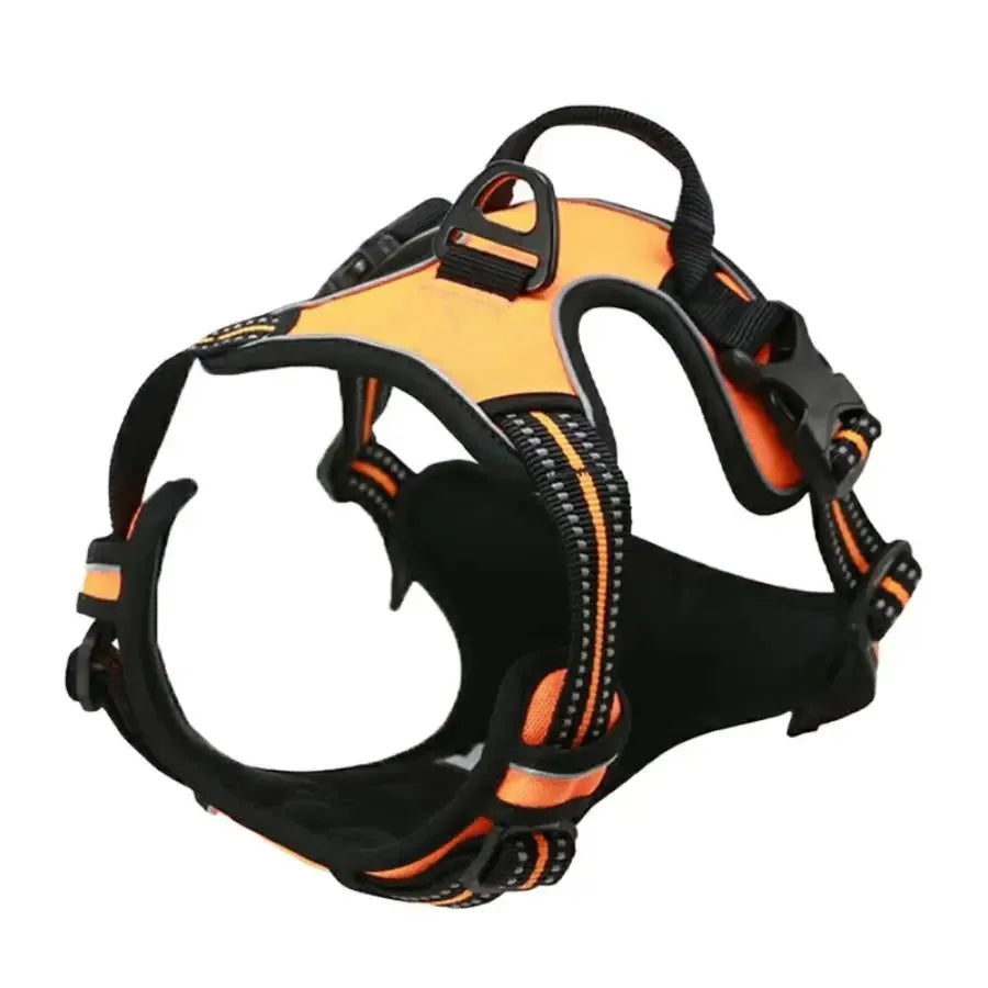 Leather Dog Collar, Harness & Leash Set