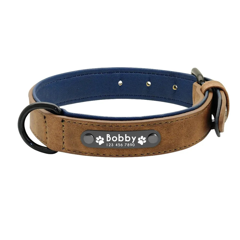 Personalized Leather Dog Collar with Name ID