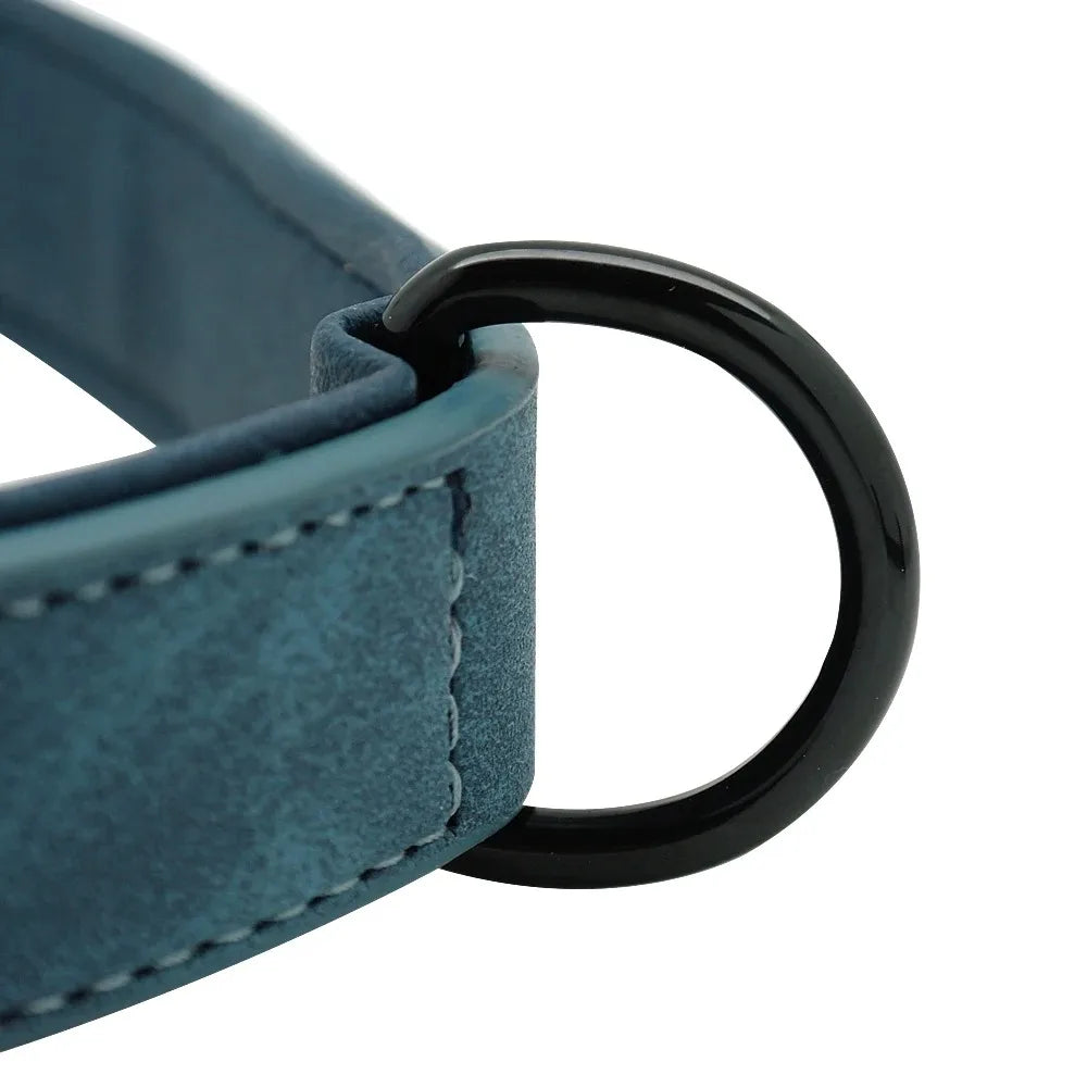 Personalized Leather Dog Collar with Name ID