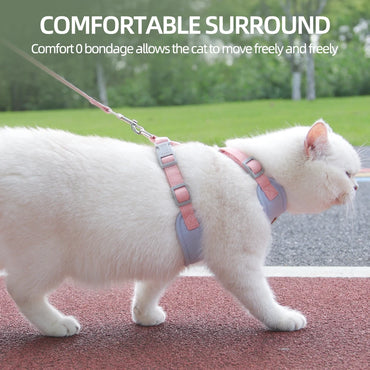 Breathable Cat & Puppy Harness and Leash Set