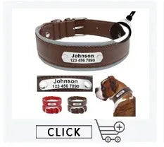 Personalized Leather Dog Collar with Name ID