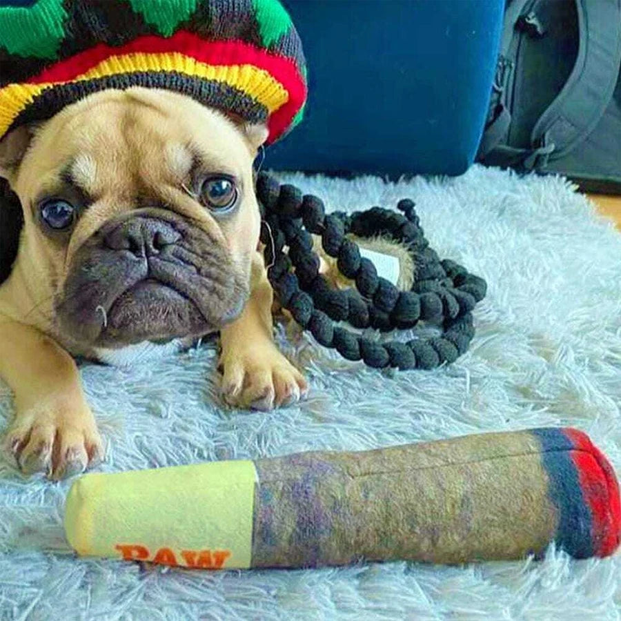 Cigar Plush Squeaky Dog Chew Toy