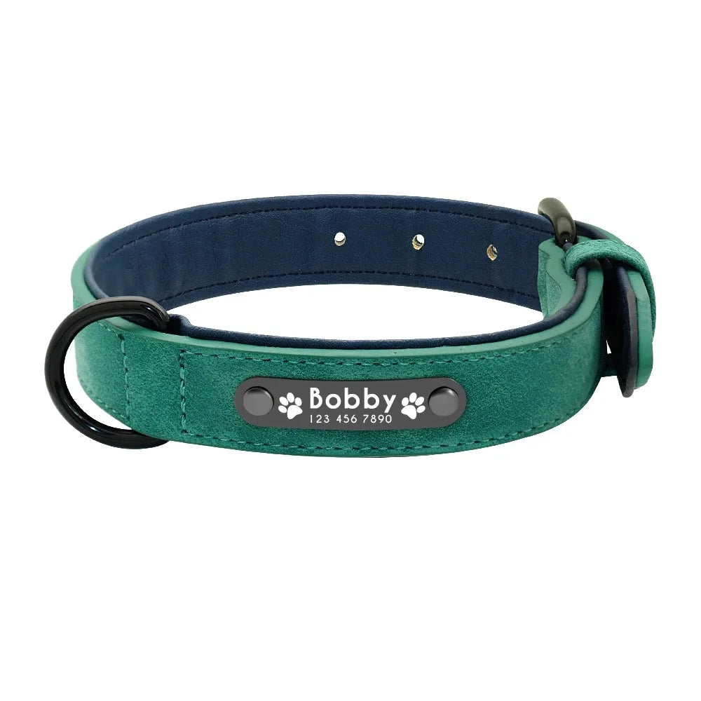 Personalized Leather Dog Collar with Name ID