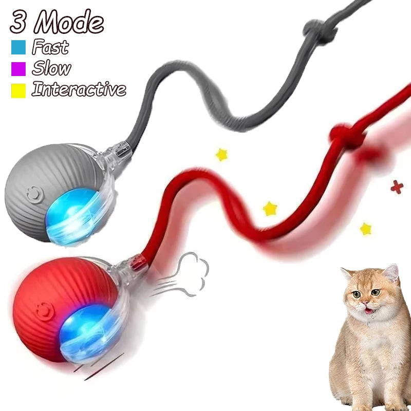 Smart Interactive Cat Rolling Ball Toy (2-Pack)