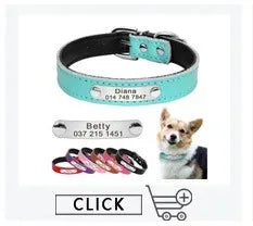 Personalized Leather Dog Collar with Name ID