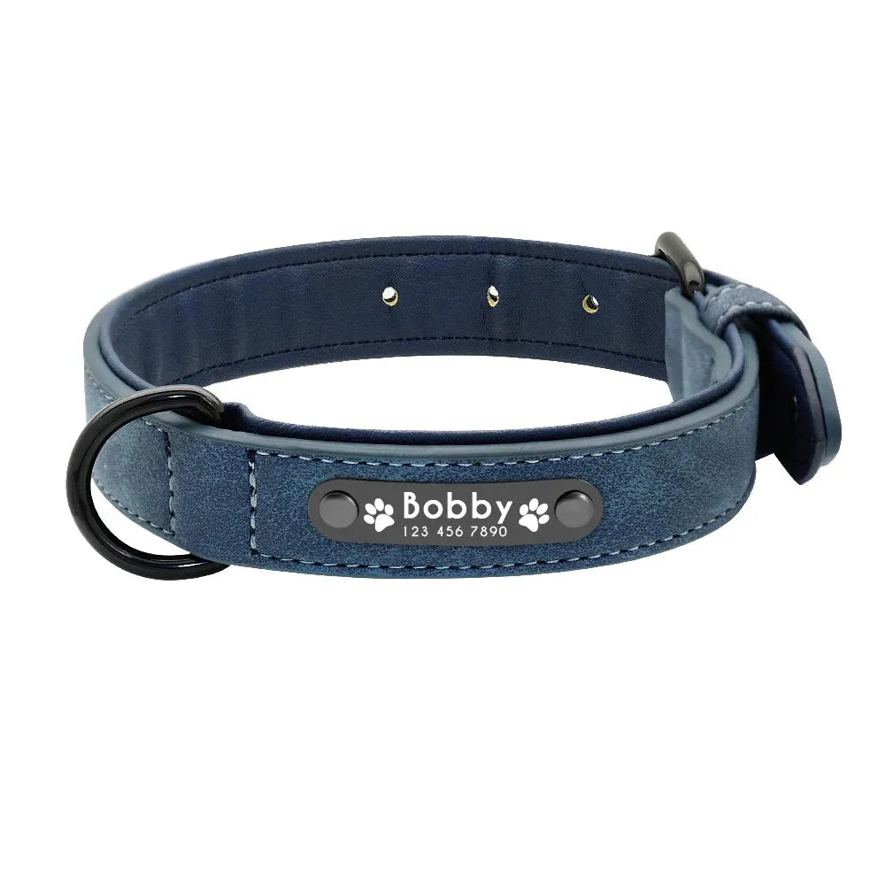 Personalized Leather Dog Collar with Name ID