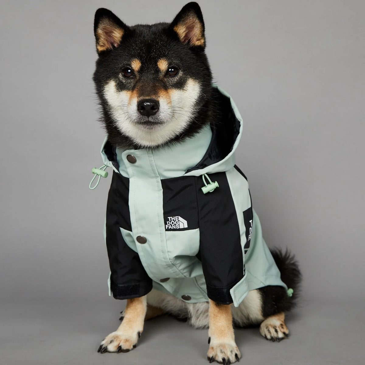 Luxury Waterproof Dog Raincoat Jacket (Mint)
