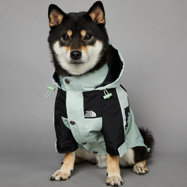 Luxury Waterproof Dog Raincoat Jacket (Mint)