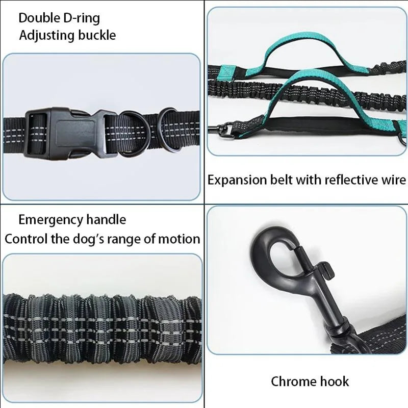 Reflective Elastic Running Dog Leash