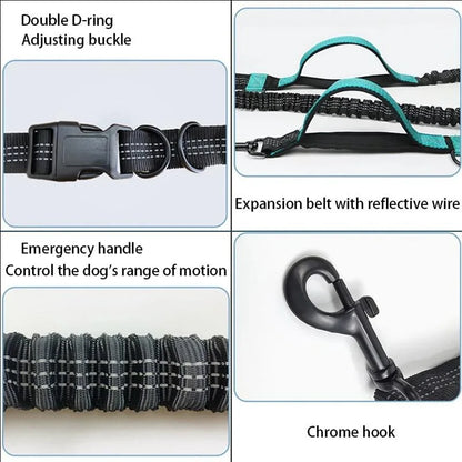 Reflective Elastic Running Dog Leash