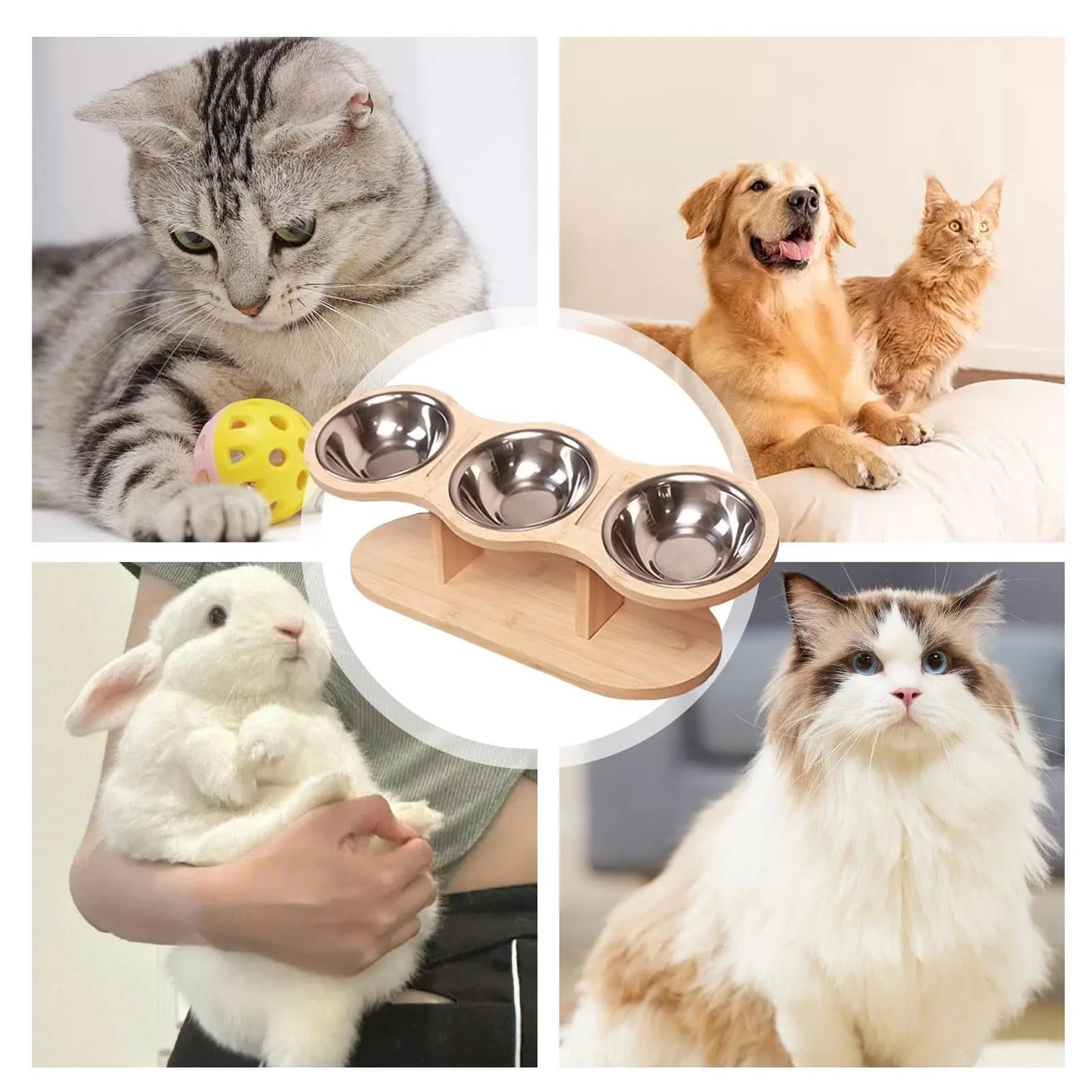Raised Cat Bowl Feeder with Wood Stand & 3 Stainless Steel Bowls