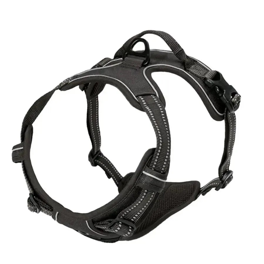 Leather Dog Collar, Harness & Leash Set